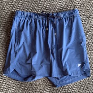 Fabletics Blue Athletic Men Shorts